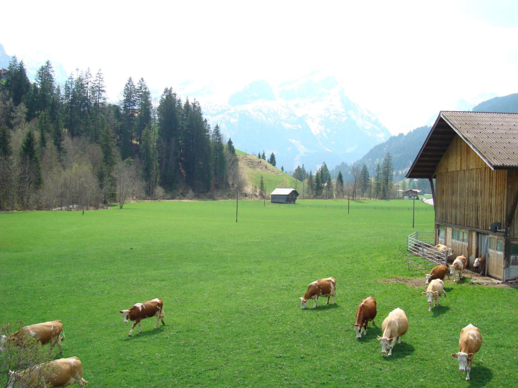 Appartamento Casa Antica Gstaad Esterno foto
